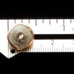 Small Rare Victorian Copper Button - Repousse..
